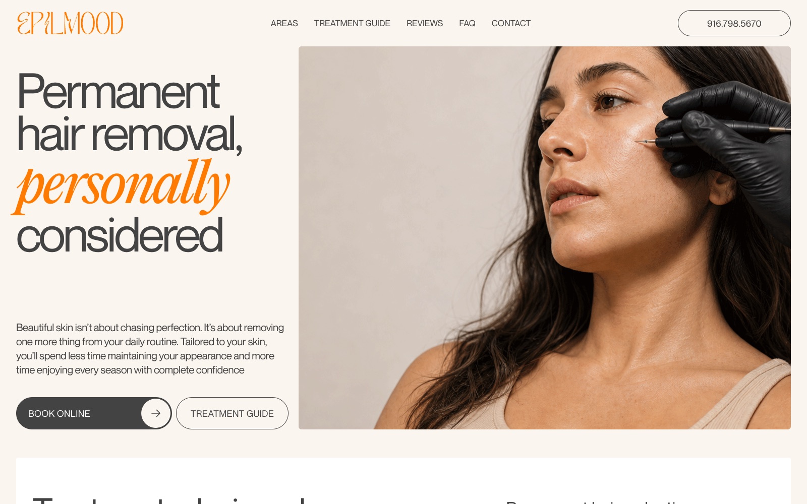 EPILMOOD website, first screen of the working build